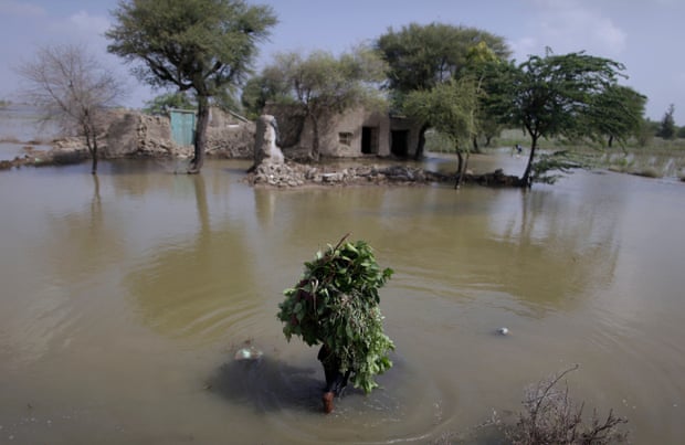 Um jovem atravessa um campo inundado carregando galhos de árvores em Mirpur Khas, na província de Sindh, no Paquistão.