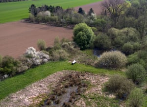 Malaise traps were set in protected areas in Germany as part of the study