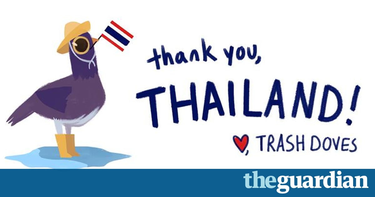 Trash dove: how a purple bird took over Facebook