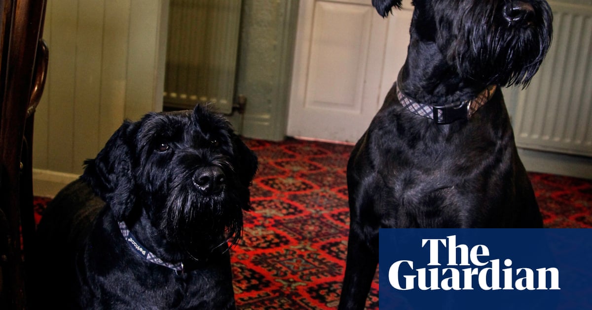 Scarlet Pearl App Scarlet Pearl App