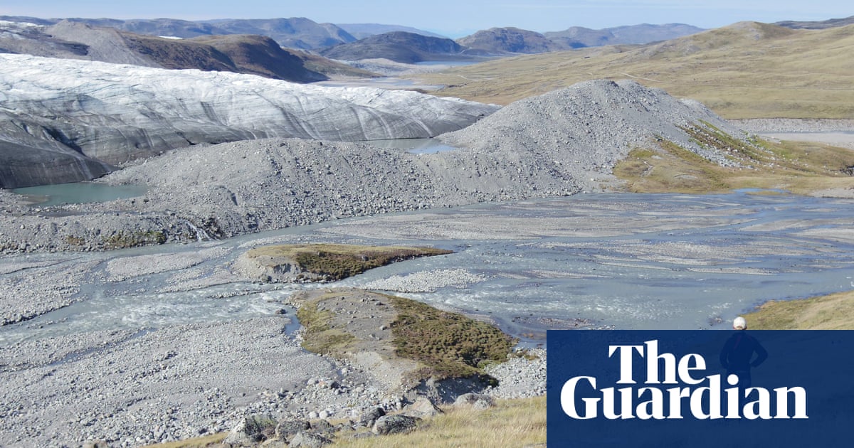 Climate experts sound alarm over thriving plant life at Greenland ice sheet | Greenland