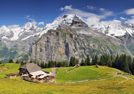 Grassy alpine meadow and playground with snowy mountains beyond