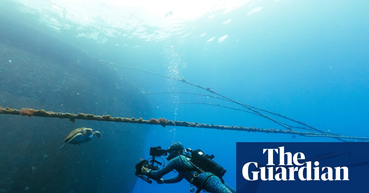 Blue Planet III showcases cloudier visuals to demonstrate authenticity during the rise of AI. Blue Planet III showcases cloudier visuals to demonstrate authenticity during the rise of AI.