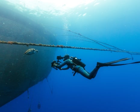 Diver films a turtle in the ocean on the outside of a large fish farming net.