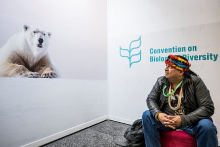 man sits in front of polar bear poster