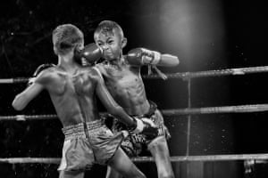Two young boxers