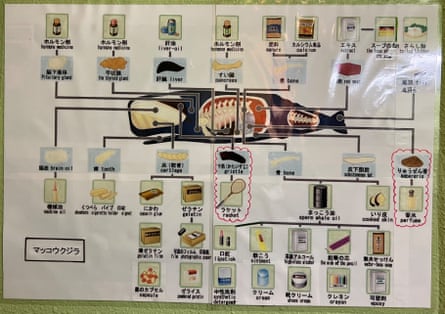 A chart at the restaurant shows the different cuts of whale meat.