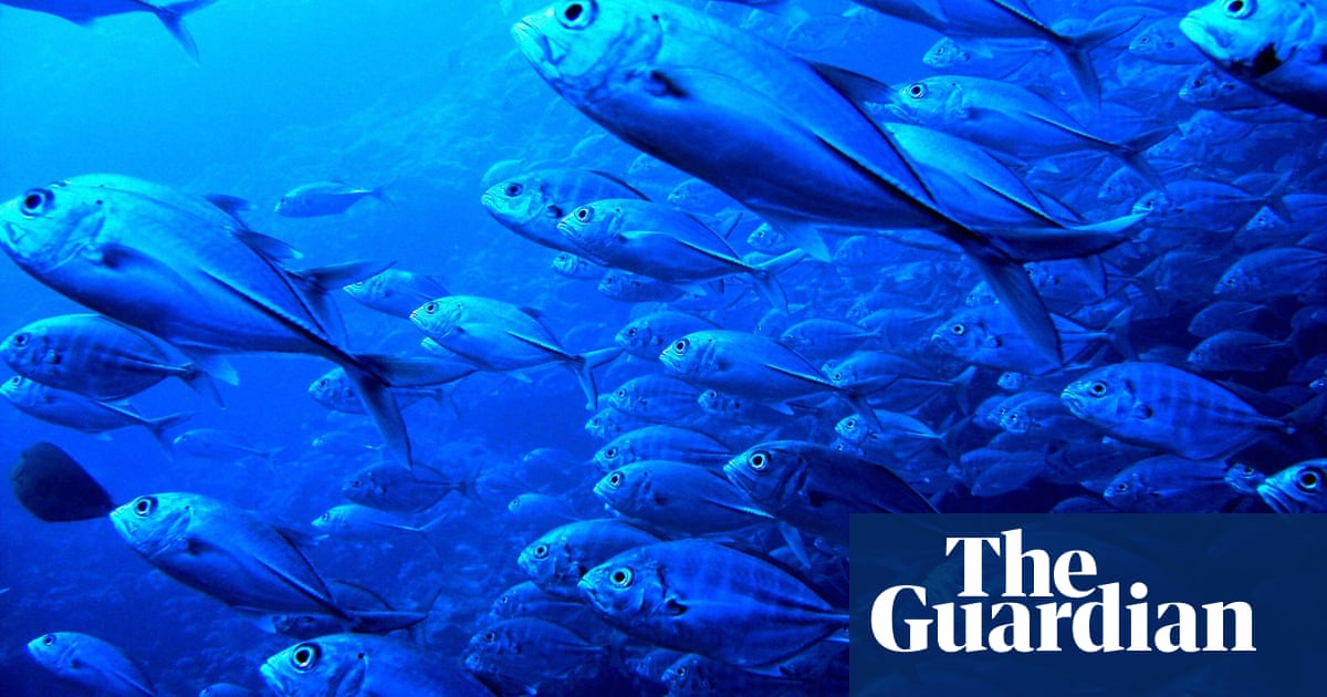 Climate change in deep oceans could be seven times faster by middle of  century, report says | Oceans | The Guardian