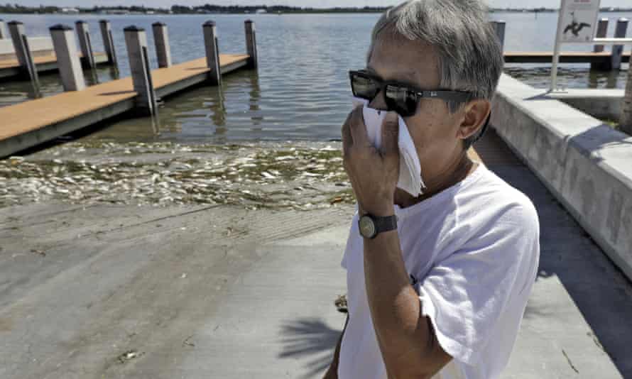 Alex Kuizon covers his face as he stands near dead fish at a boat ramp in Bradenton Beach.