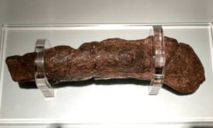 The Lloyds Bank coprolite: fossilised human faeces dug up from a Viking site at Coppergate, York, England by archaeologists. It contains pollen grains, cereal bran, and many eggs of whipworm and maw-worm (intestinal parasites). It is on display at the Jorvik Centre in York.