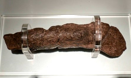 The Lloyds Bank coprolite: fossilised human faeces dug up from a Viking site at Coppergate, York, England by archaeologists. It contains pollen grains, cereal bran, and many eggs of whipworm and maw-worm (intestinal parasites). It is on display at the Jorvik Centre in York.