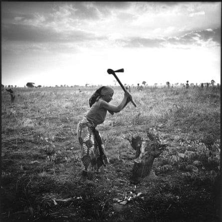 A woman chops the stump of a tree, Cuemba, Angola.