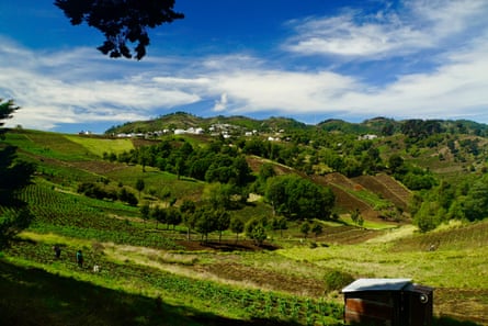 Tilled fields in a shallow valley with a white village in the background