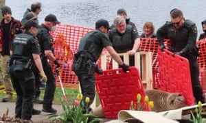 Emerson, um elefante marinho de 500 libras em Victoria, Canadá. Emerson foi removido de Victoria para longe de habitações humanas, para sua paz, e dirigiu 200 quilômetros em uma van. Mas, menos de uma semana depois de ter sido removido, ele fez uma jornada épica de 200 quilômetros ao longo da acidentada costa oeste da Ilha de Vancouver de volta à cidade, um retorno que deixou os conservacionistas incrédulos.
