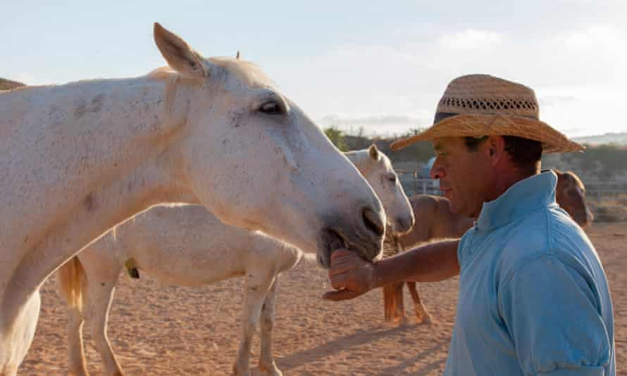 Un susurrador de caballos interactúa en la granja Dreams of Horses en el Valle de Ramla, Gozo.