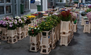 'We're asking for help': rent row grows at New Covent Garden flower