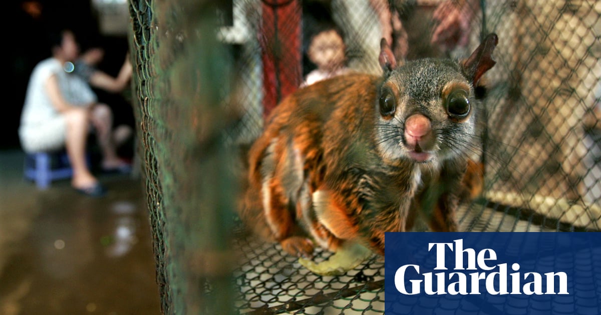 2700.jpg?width=1200&height=630&quality=8