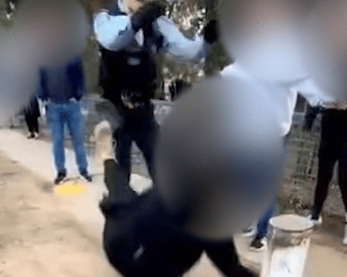 Woman claims she was left with fractured rib after NSW police allegedly pushed her to ground during arrest
