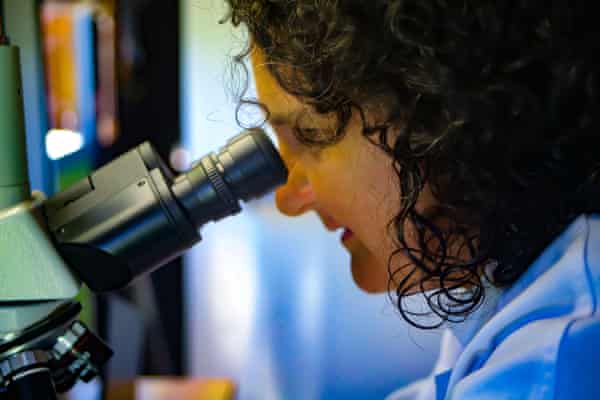 Marine biologist Jo Lane