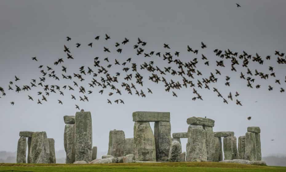 Birds flying above Stonehenge against a grey sky