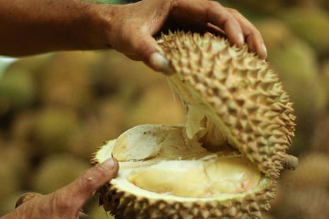 The yoga of fruits: could this be the durian's crossover moment? | Food