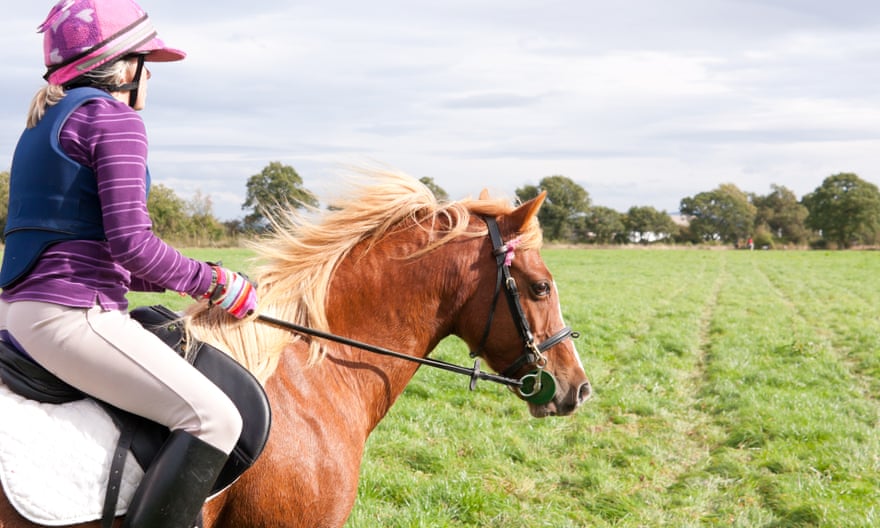Lone girl and her pony in countryside