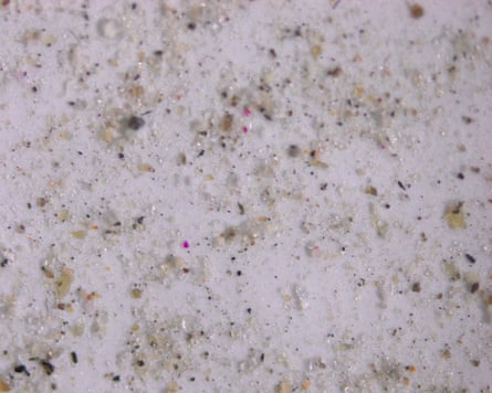 Minute particles, some brightly colored, on a white background.