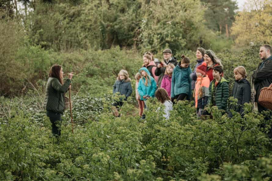 Chloé Newcomb-Hodgetts leads a group standing among Alexander plants.