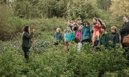 Foraging guests standing among Alexander plants photo credit Tom Damsell