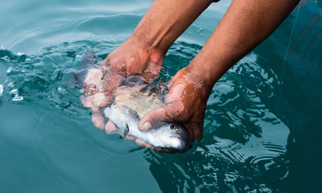 A man lifting a fish from the water with his hands