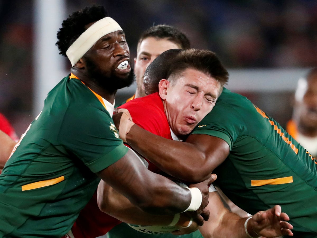 wales and kolisi s south africa resume rivalry with unsettled scores wales rugby union team the guardian wales and kolisi s south africa resume rivalry with unsettled scores wales rugby union team the guardian