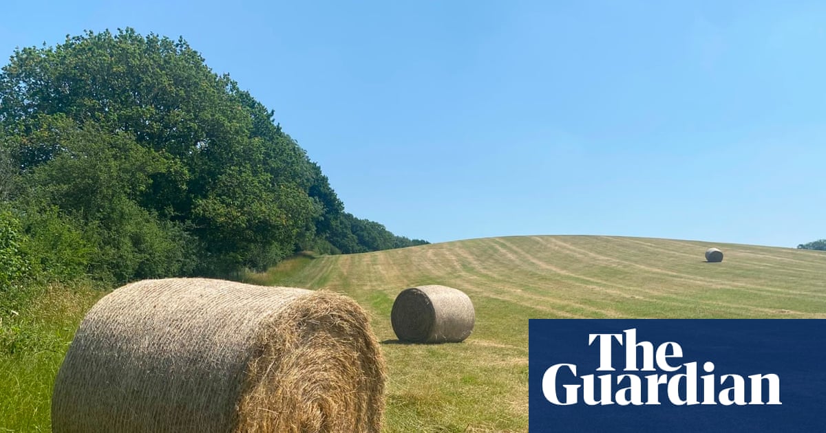 Country diary: Even in a heatwave, haymaking is a race against time | Nicola Chester