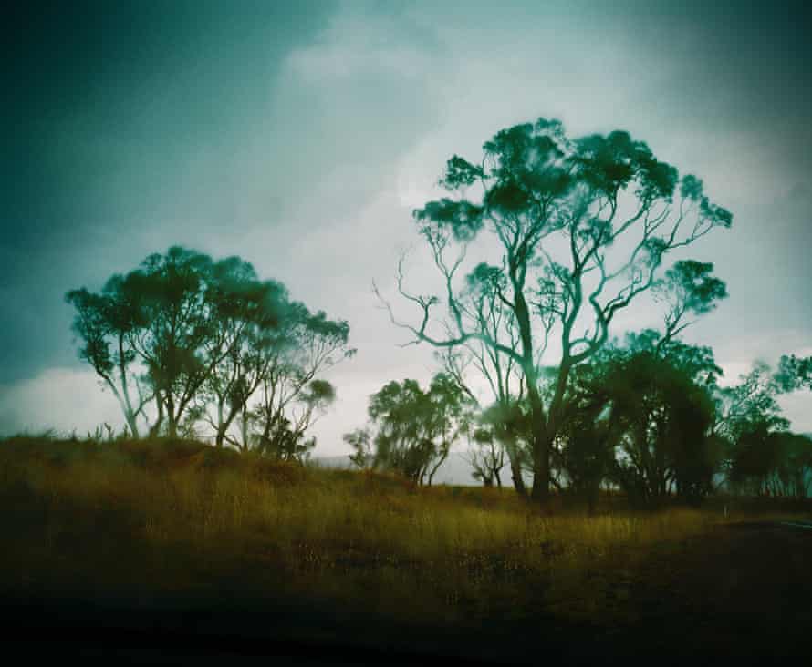 Bathurst Plains, New South Wales, where Wiradjuri people were massacred in 1824.