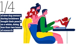 Statistic - 1/4 of new dog owners during lockdown bought their pooch on a whim, doing less than two hours of research.