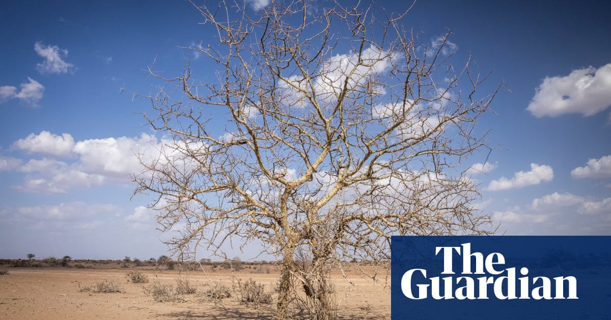 Kenyan nomads' age-old way of life falls victim to worst drought in memory