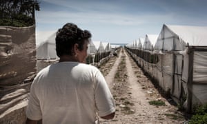 Many Romanian women work in greenhouses across Ragusa, where inspections have found scant regard for labour laws.
