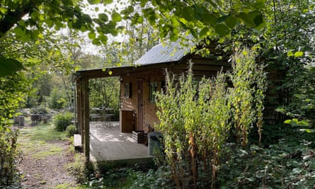 Jacaranda cabin.