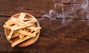 Smoking holy or sacred wood palo santo (Bursera graveolens)