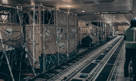 The sedated rhinos are loaded into the hold for the flight from South Africa.