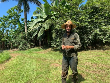 A man stands in a grassy field lined with tropical trees.
