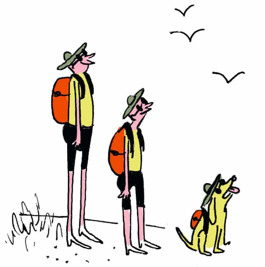 Illustration of two people and a dog wearing walking gear, hats and backpacks, three birds in the sky above them