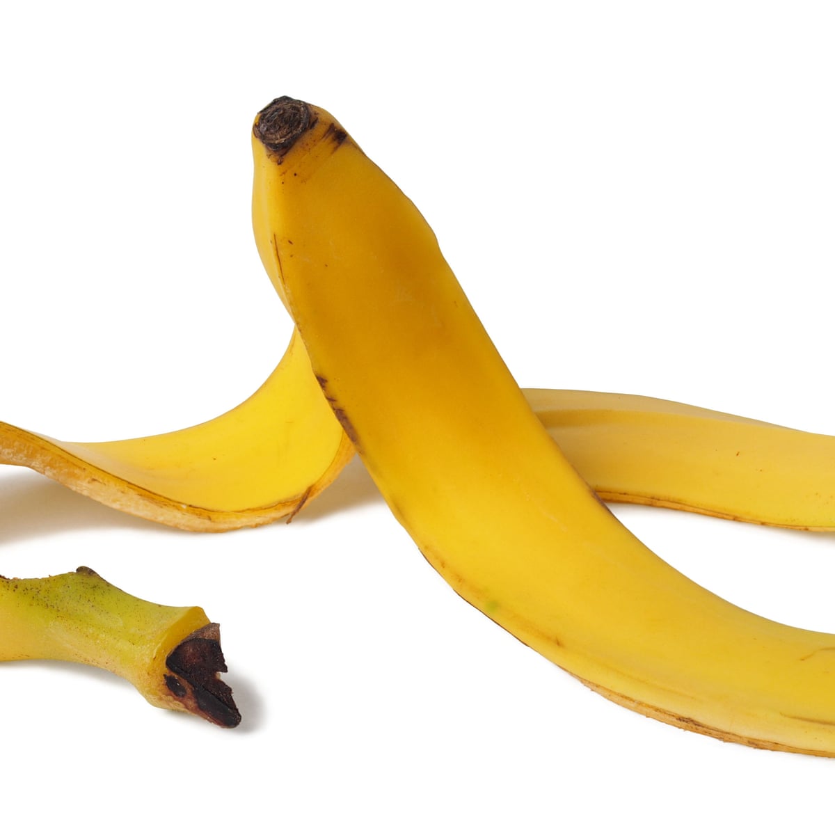 The Nigella Effect Are Banana Skins About To Become A Must Eat Ingredient F...