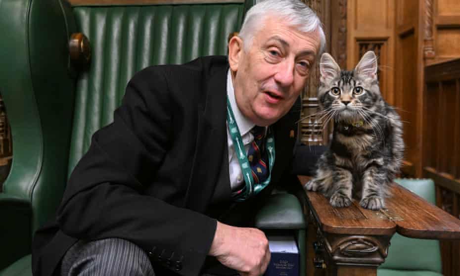 Lindsay Hoyle with his new kitten, Attlee.