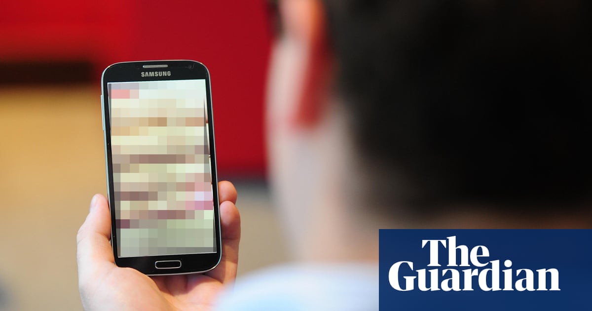 They didn't know they were victims': revenge porn helpline sees alarming  rise | Internet safety | The Guardian