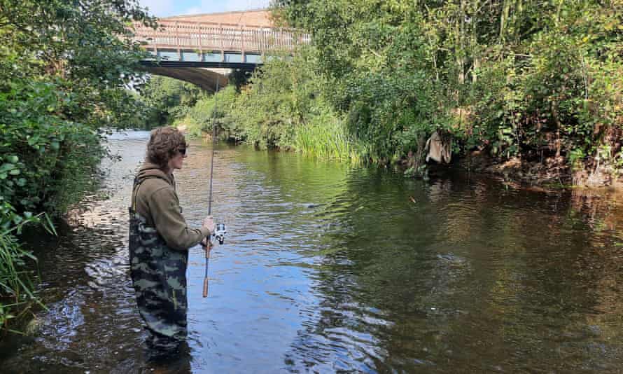 River Tone before removal of trees.