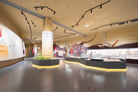 Interior of the museum with dinosaur items in display cases
