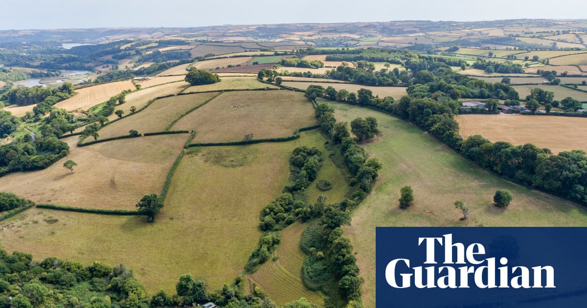 Thousands of trees planted in Devon's new rainforest project