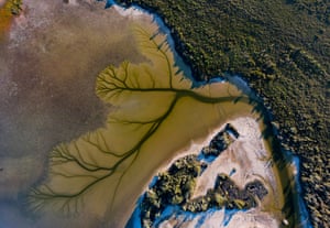 Lake Cakora at Brooms Head on the NSW North Coast. The teatrees that surround the lake colours the run off water creating the contrast in the drainage channels that make the arboreal materpieces. December 2020. Photograph by amateur photographer Derry Moroney.