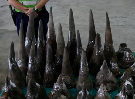 Part of a haul of 33 unmanifested rhino horns, 758 ivory chopsticks and 127 ivory bracelets, worth about $2.23m seized by Hong Kong customs in a container shipped from Cape Town