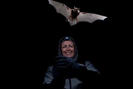 Jesika Reimer releases a bat in darkness after taking samples for her research.